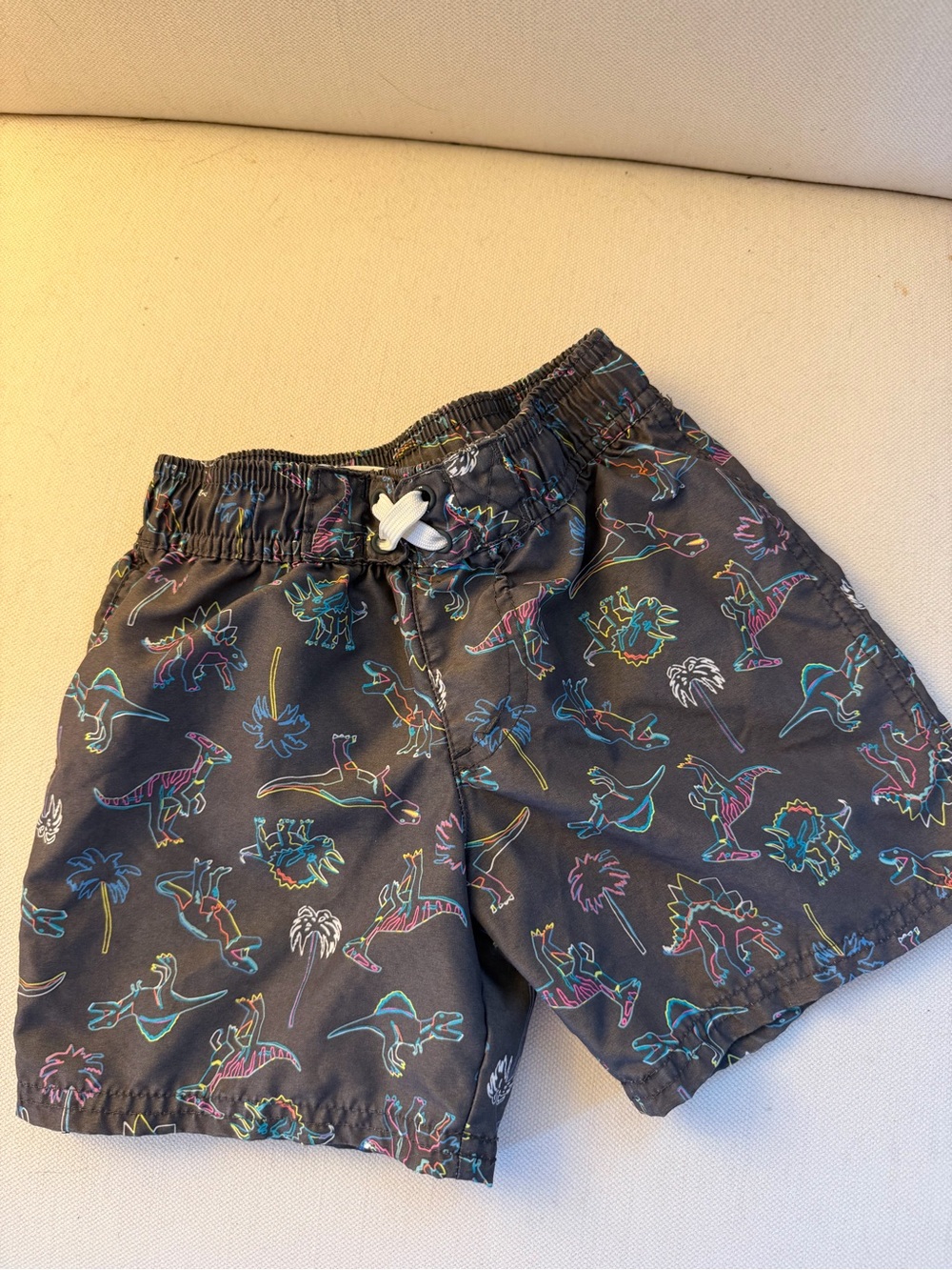 Cat & Jack Gray Swim Shorts with Neon Dinosaur Print